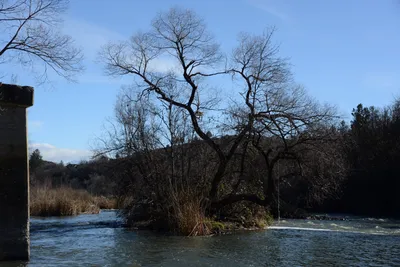 DSC_1093 (Large).JPG